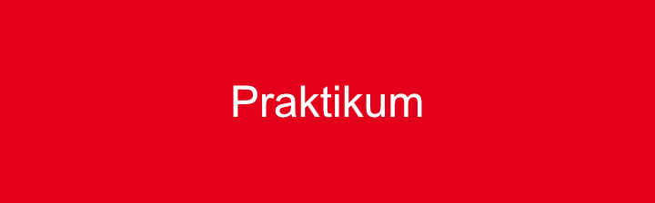 Praktikum